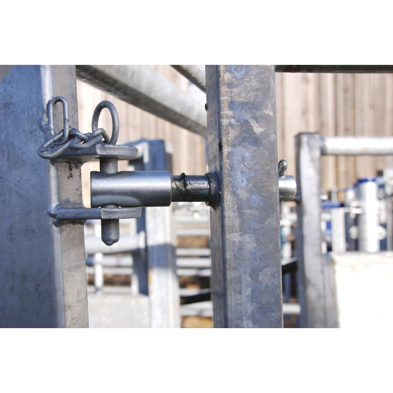 Module LV avec assistance pneumatique à largeur variable 