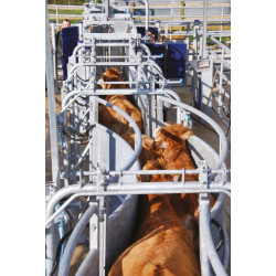 Module LV avec assistance pneumatique à largeur variable 