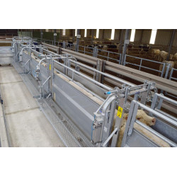 Module LV avec assistance pneumatique à largeur variable 