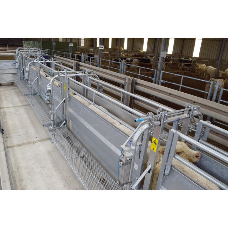 Module LV avec assistance pneumatique à largeur variable 