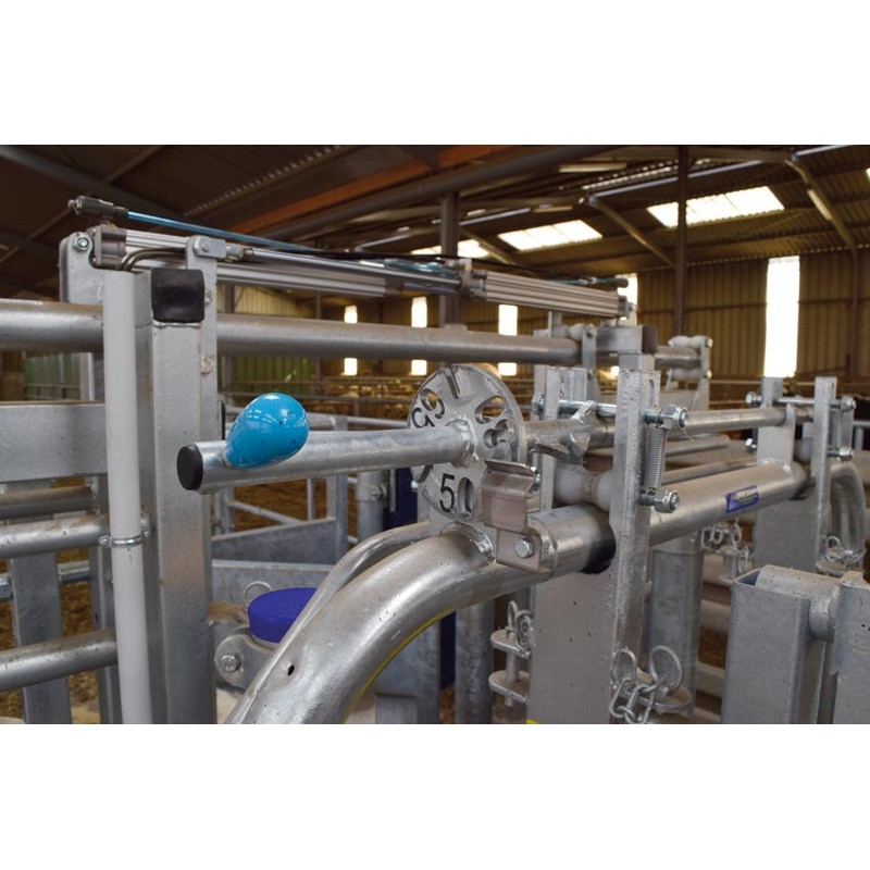 Module LV avec assistance pneumatique à largeur variable 