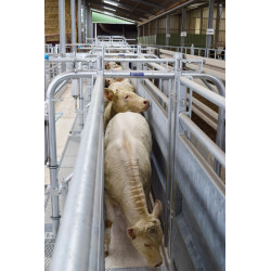 Module LV avec assistance pneumatique à largeur variable 