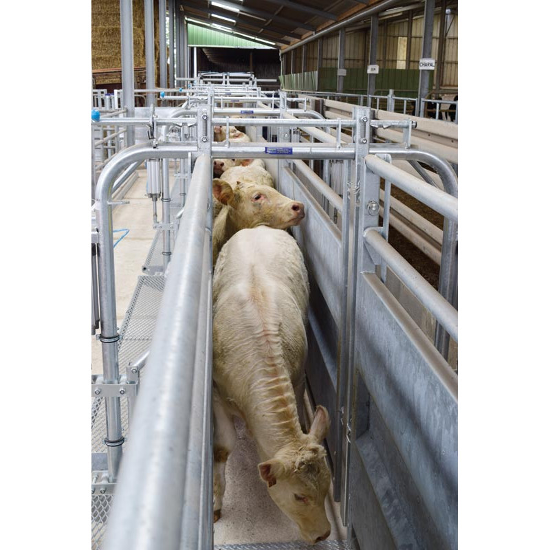 Module LV avec assistance pneumatique à largeur variable 