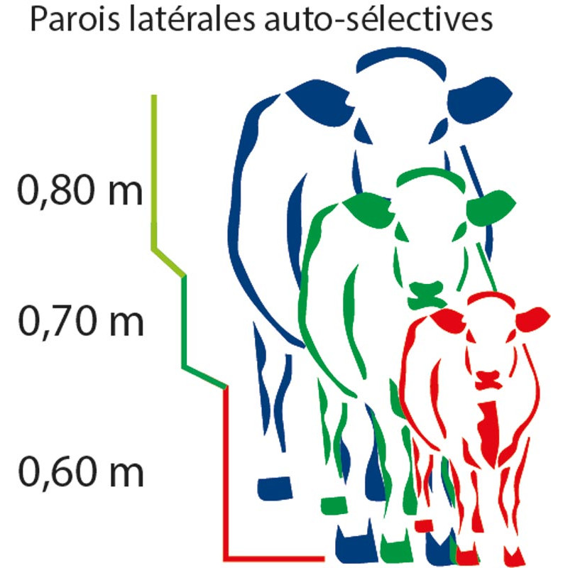 Couloir de contention fixe Couloir de contention fixe