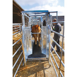 Cage de contention LVM - 4 portillons - Parois largeur variable - Panneaux latéraux