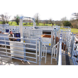 Cage de contention LVAP - Panneaux tôlés - Parois largeur variable - Panneaux latéraux tôlés non ouvrants