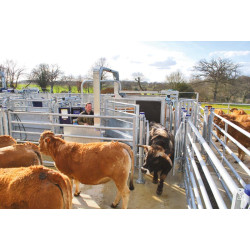 Cage de contention LVAPI - Panneaux tôlés - Parois largeur variable - Panneaux latéraux tôlés ouvrants 