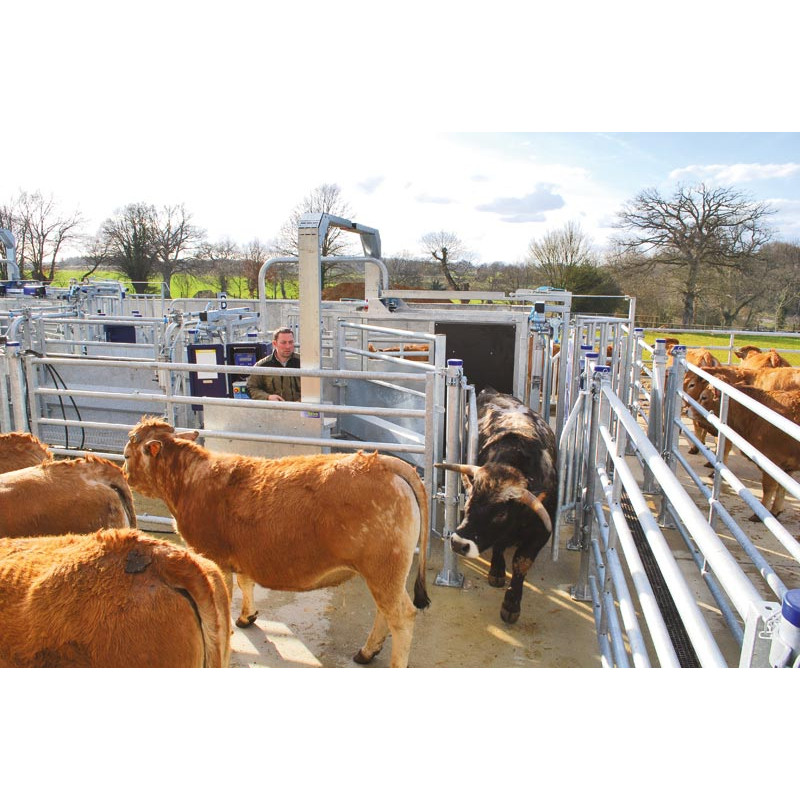 Cage de contention LVAPI - Panneaux tôlés - Parois largeur variable - Panneaux latéraux tôlés ouvrants 