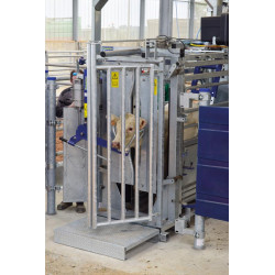 Lève-tête assisté pneumatique