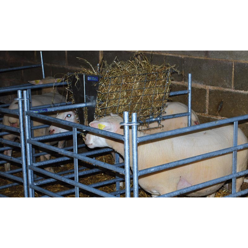 Râtelier simple pour ovins