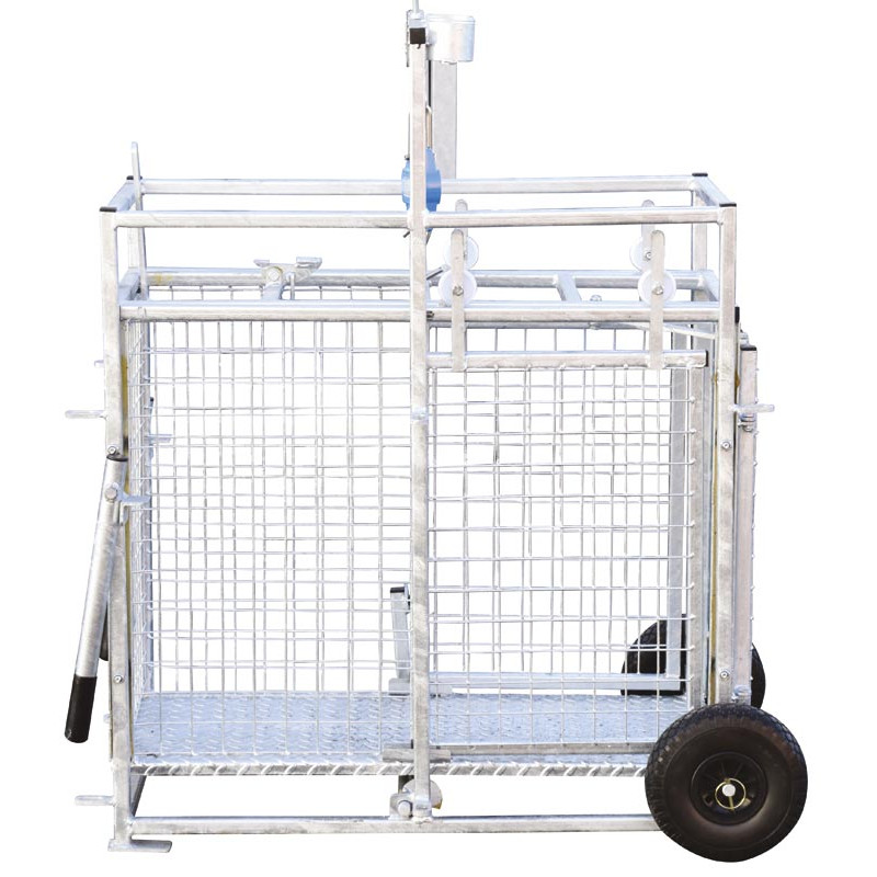 Cage de pesage roulante pour ovins avec cadran de pesée 