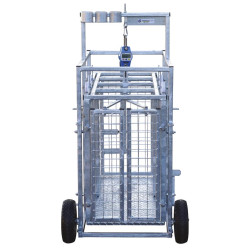 Cage de pesage roulante pour ovins avec cadran de pesée 
