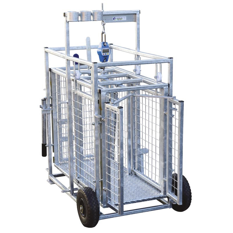 Cage de pesage roulante pour ovins avec cadran de pesée 
