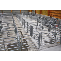 Embout arrière 6 lisses pour barrière de contention 1/2 m 