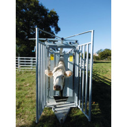 Couloir de contention mobile hydraulique
