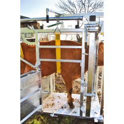 Cage de contention LFM - 4 portillons - Parois largeur fixe - Panneaux latéraux Cage de contention LFM - 4 portillons - Parois largeur fixe - Panneaux latéraux