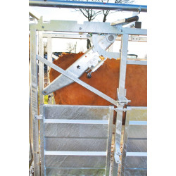 Cage de contention LFM - 4 portillons - Parois largeur fixe - Panneaux latéraux Cage de contention LFM - 4 portillons - Parois largeur fixe - Panneaux latéraux