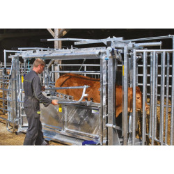 Cage de contention LVM - 4 portillons - Parois largeur variable - Panneaux latéraux Cage de contention LVM - 4 portillons - Parois largeur variable - Panneaux latéraux