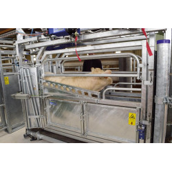 Cage de contention LVAP - 4 portillons - Parois largeur variable - Panneaux latéraux ouvrants avec portillons