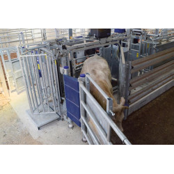 Cage de contention LVAP - 4 portillons - Parois largeur variable - Panneaux latéraux ouvrants avec portillons