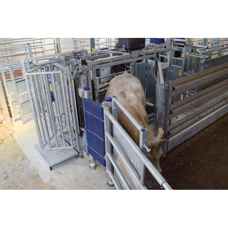 Cage de contention LVAP - 4 portillons - Parois largeur variable - Panneaux latéraux ouvrants avec portillons
