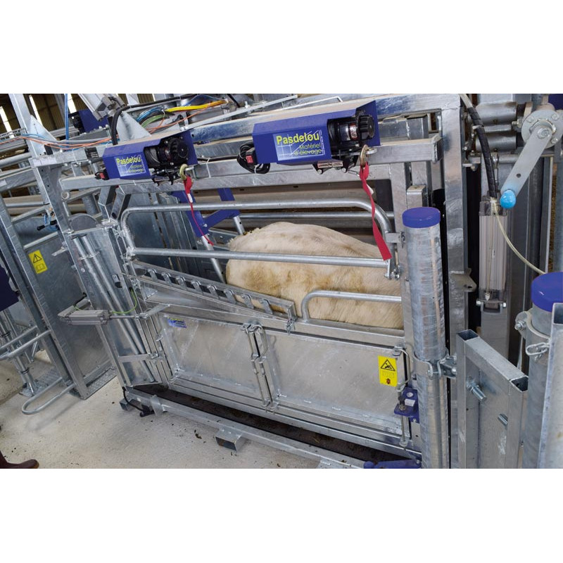 Système de poussée anti-recul pneumatique pour cages pneumatiques