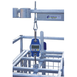 Cage de pesage roulante pour ovins avec cadran de pesée 