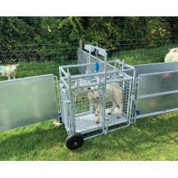 Cage de pesage roulante pour ovins avec cadran de pesée 
