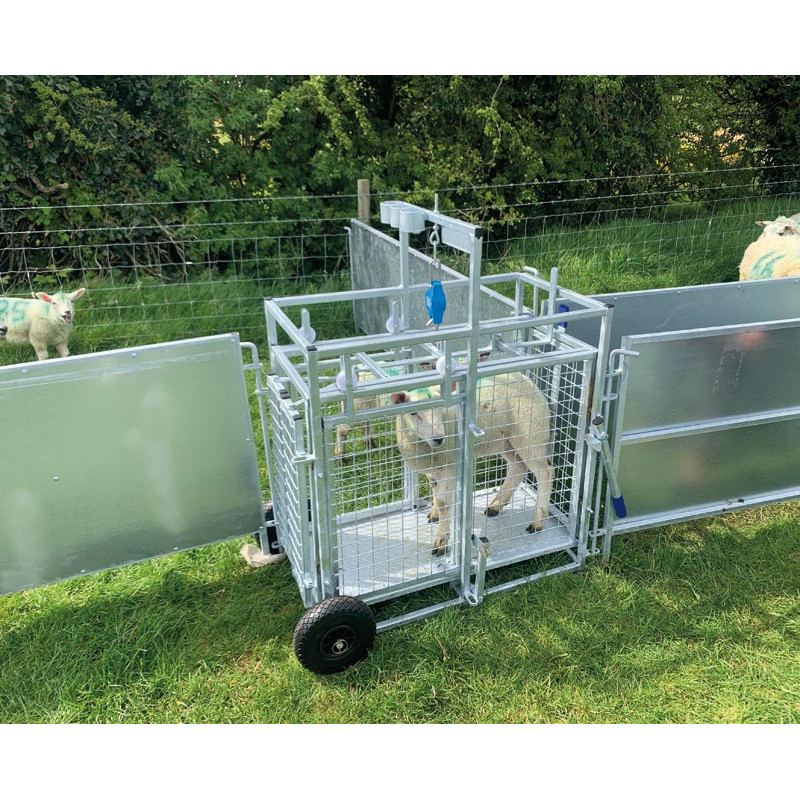 Cage de pesage roulante pour ovins avec cadran de pesée 