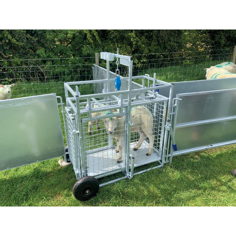 Cage de pesage roulante pour ovins avec cadran de pesée 
