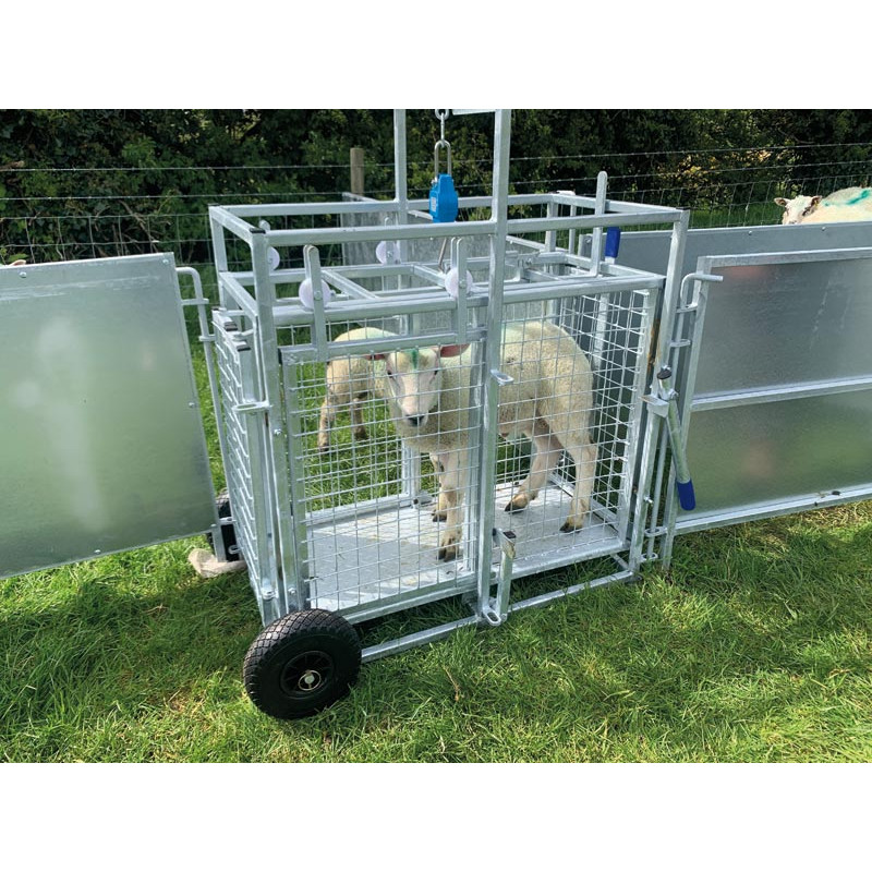 Cage de pesage roulante pour ovins avec cadran de pesée 